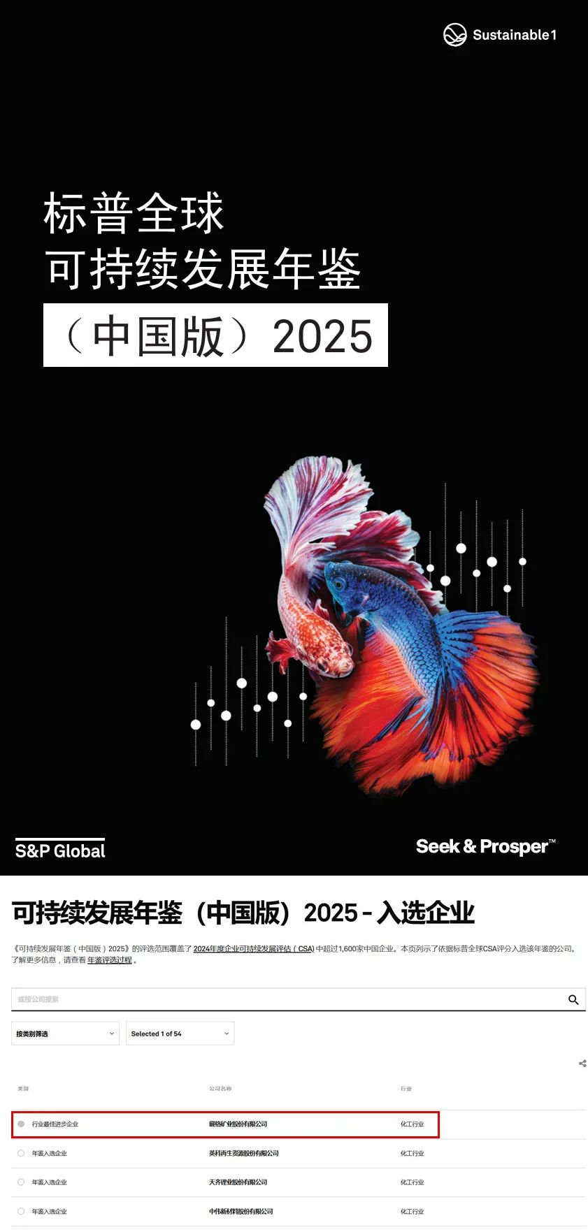 藏格礦業榮登CSA“最佳進步企業”榜單，入選可持續發展年鑒2025